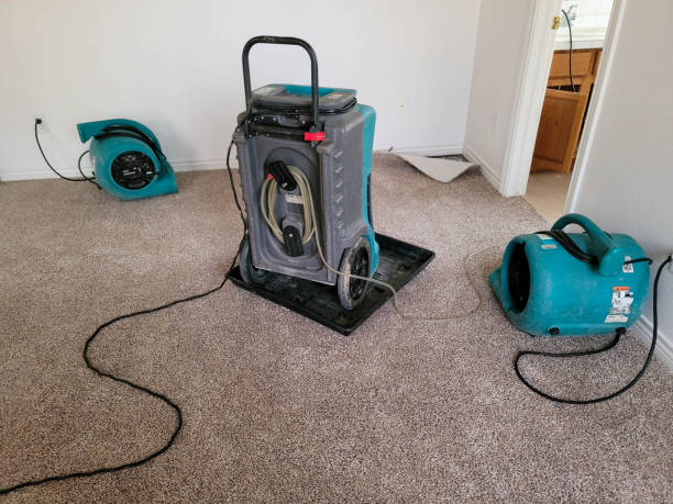 Best Flooded house restoration  in Niles, MI