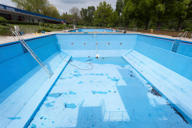 Best Flood restoration services  in Niles, MI
