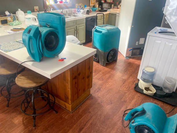Best Carpet water damage restoration  in Niles, MI