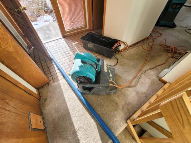 Best Local water damage restoration  in Niles, MI