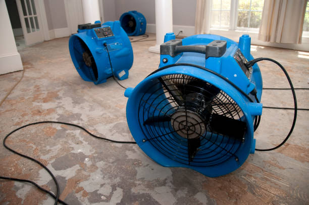 Best Flooded house restoration  in Niles, MI