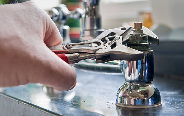 Best Flood restoration services  in Niles, MI